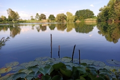 IMG_20190619_174622_2