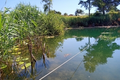 IMG_20190630_114133_2